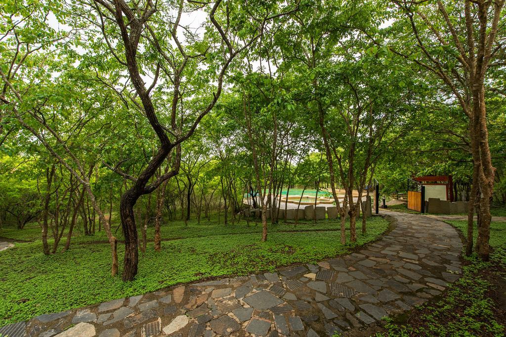 The Windflower Jungle Resort & Spa, Bandipur Exterior photo