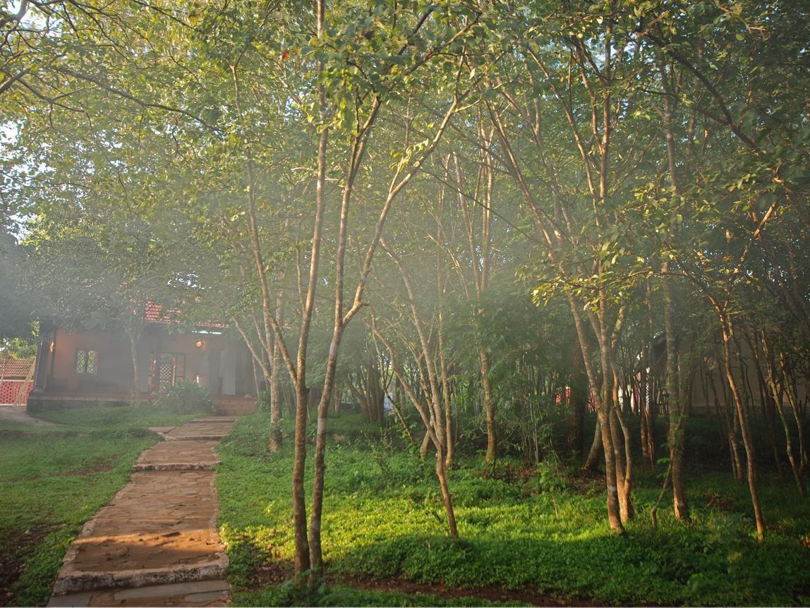 The Windflower Jungle Resort & Spa, Bandipur Exterior photo